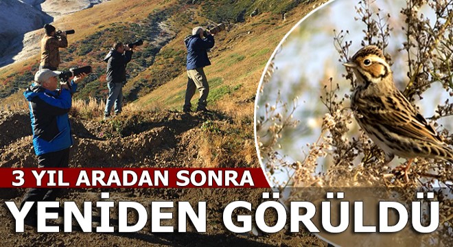 Türkiye'de 5'inci kez görüldü