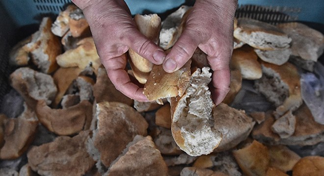 Türkiye'de günde 4,9 milyon ekmek israf oluyor