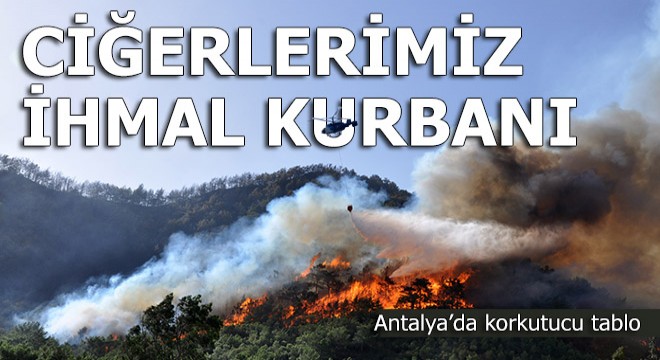 Türkiye'nin ciğerleri, ihmal ve faili meçhul kurbanı