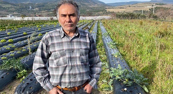 Türkiye'nin kışlık sebzesi İzmir'den