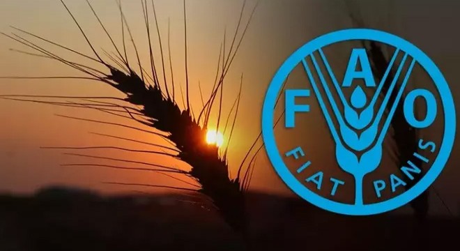 Türkiye, FAO Konseyi üyeliğine seçildi