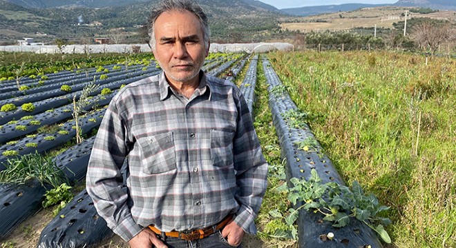 Türkiye nin kışlık sebzesi İzmir den