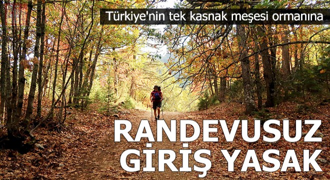 Türkiye nin tek kasnak meşesi ormanına randevusuz giriş yasak