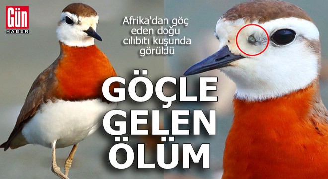 Türkiye ye göçle gelen ölüm