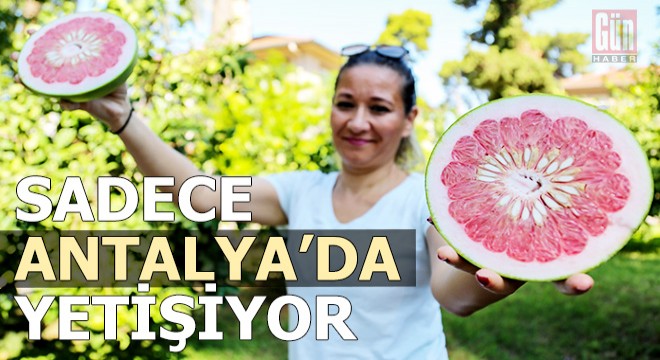 Sadece Antalya'da yetişiyor