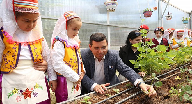 Tütüncü, okul serasına çocuklarla çilek ekti