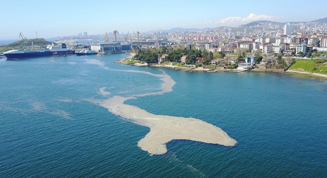 Tuzla sahilini deniz salyası kapladı