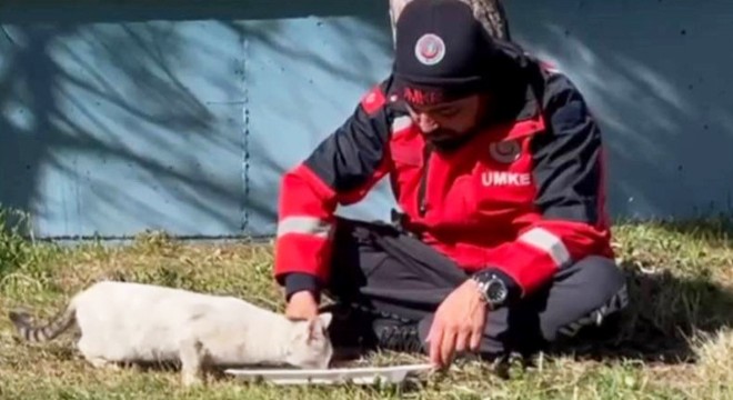 UMKE personeli, sokak kedisi ile yemeğini paylaştı
