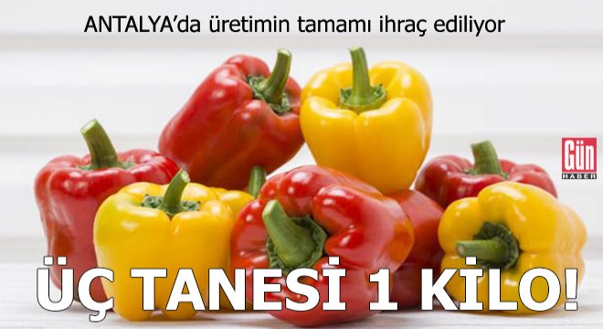 Üç tanesi 1 kilo geliyor, üretimin tamamı ihraç ediliyor