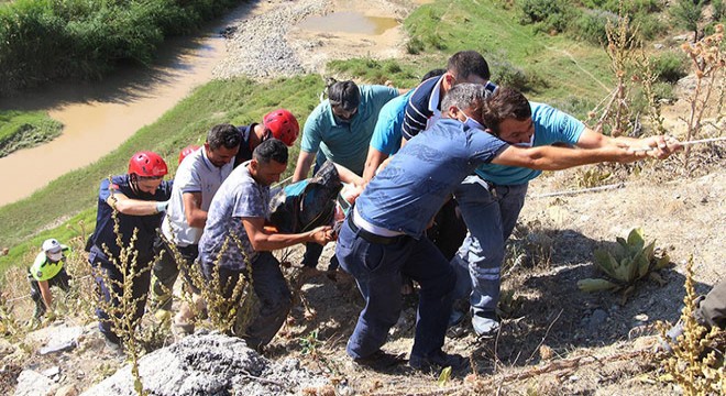 Uçuruma yuvarlanan ziraat mühendisi ölümden döndü