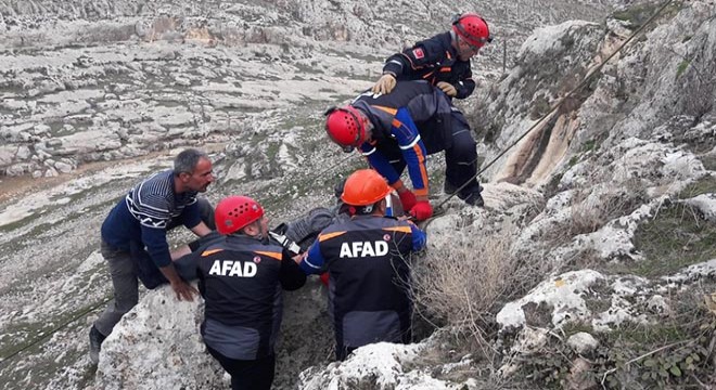 Uçurumdan yuvarlandı, AFAD tarafından kurtarıldı