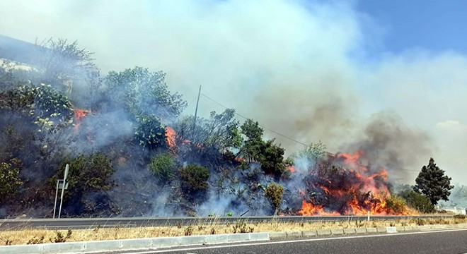 Ula'da orman yangını; 2 ev tahliye edildi