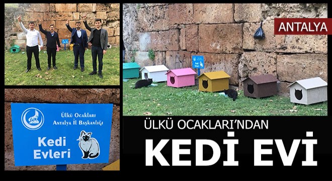 Ülkü Ocakları Antalya İl Başkanlığı'ndan ''Kedi evi"