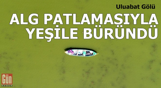 Uluabat Gölü, alg patlamasıyla yeşile büründü
