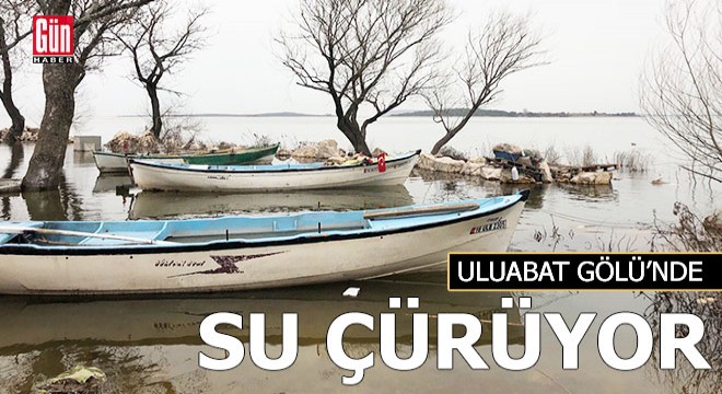 Uluabat Gölü nde  su çürüyor  uyarısı