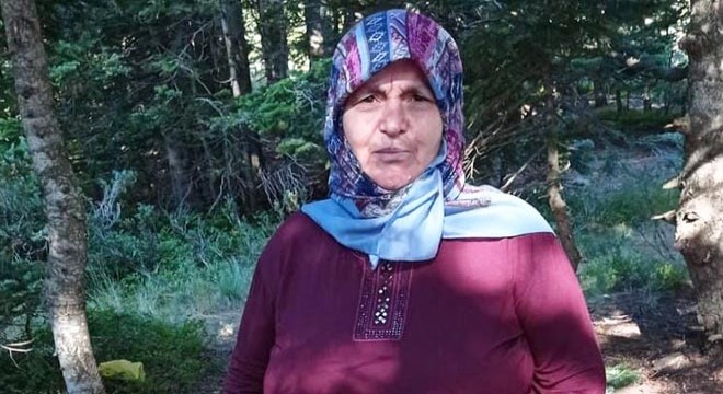 Uludağ'da, piknikte odun toplamaya çıkan kadın kayıp