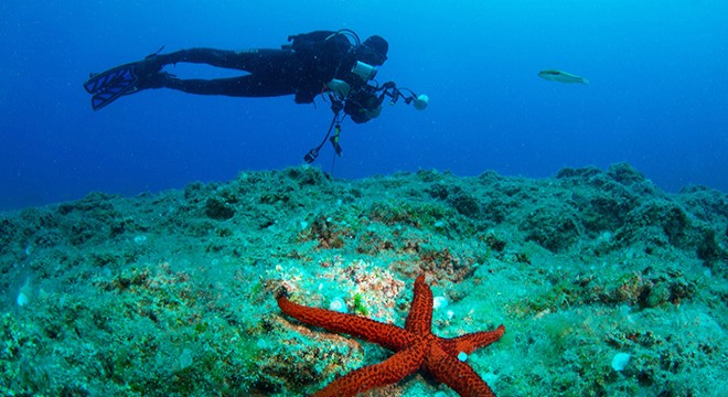 Uluslararası Kemer Sualtı Günleri 20 yaşında