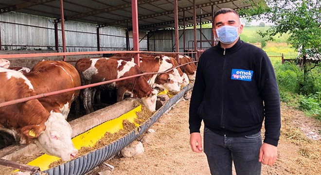 Üniversite eğitimini dondurdu, baba mesleği hayvancılığa başladı
