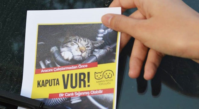 Üniversite öğrencilerinden 'Kaputa vur' kampanyası