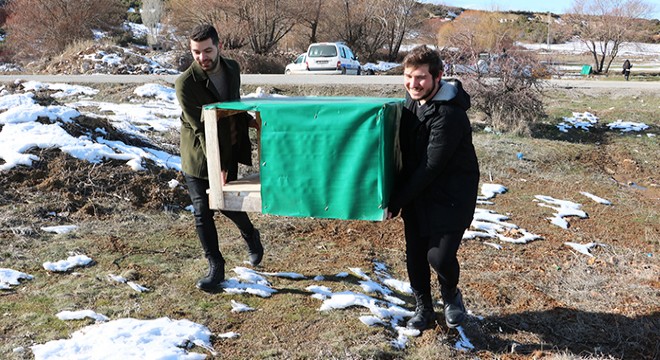 Üniversitelilerden sokak hayvanları için barınak