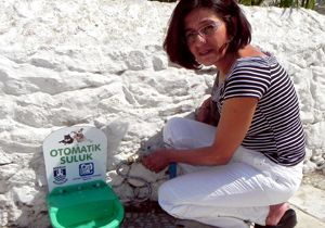 Bodrum’da sokak hayvanları için otomatik suluk