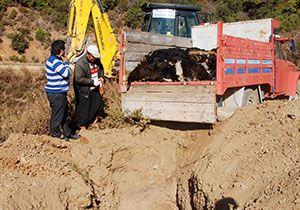 Ahırdaki yangında 32 küçükbaş hayvan telef oldu