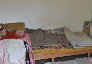 Yaraları üzerinde karıncalar dolaşırken bulundu