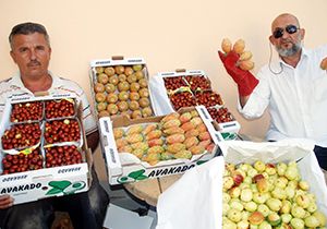 Tropikal ürünler pazar arıyor