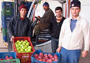 Elmada tanıtım atağı