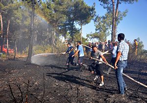 Manavgat'ta orman yangını