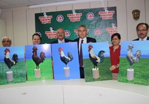 Denizli’de dikilecek horoz heykelini halk seçecek
