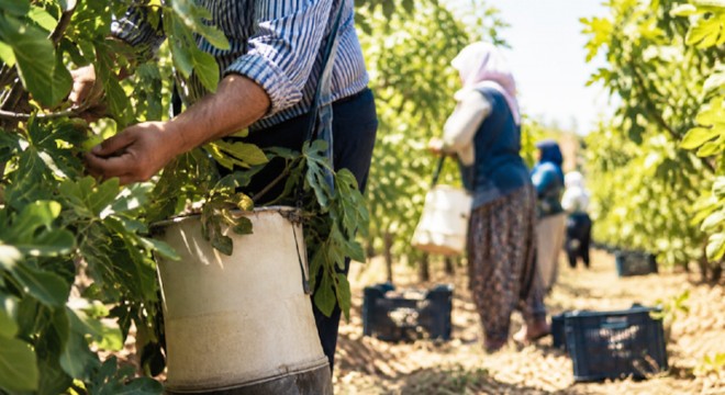 Üreticilere hasadı durdurun çağrısı yapıldı
