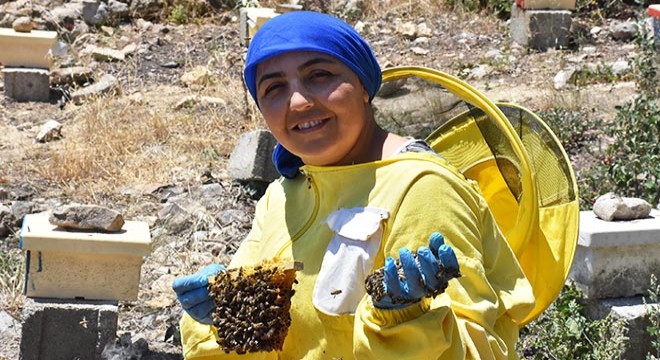 Ürettiği kraliçe arıların tanesini 100 liradan satıyor