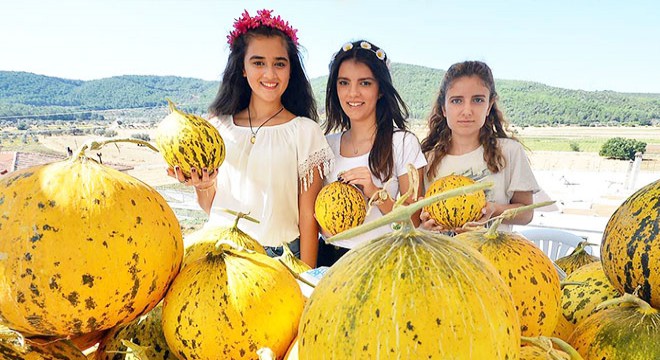 Urla'da kavun festivali başlıyor