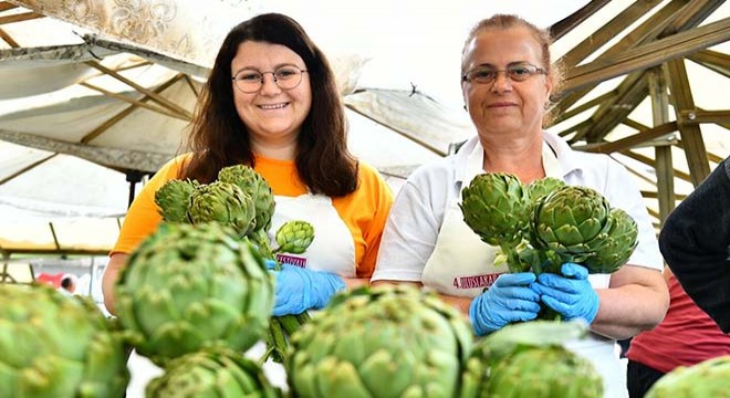 Urla Enginar Festivali için geri sayım başladı