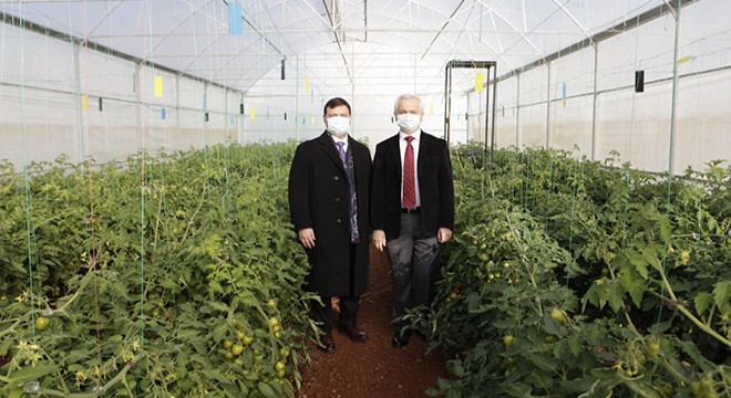 Ürüne özgü sera plastiği çalışmalarında ilk hasat heyecanı