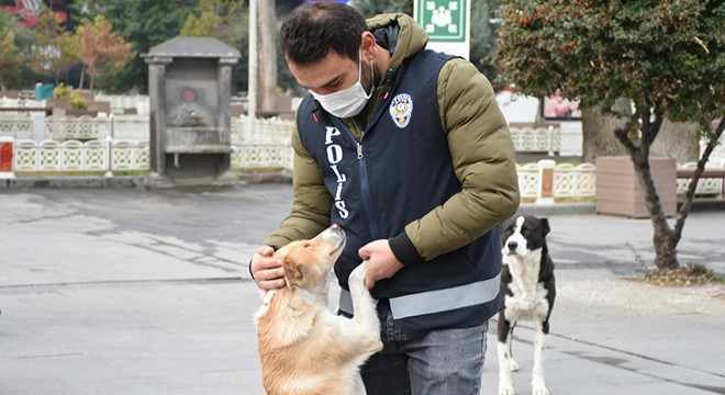 Uşak ta polisler sokak hayvanlarını besledi