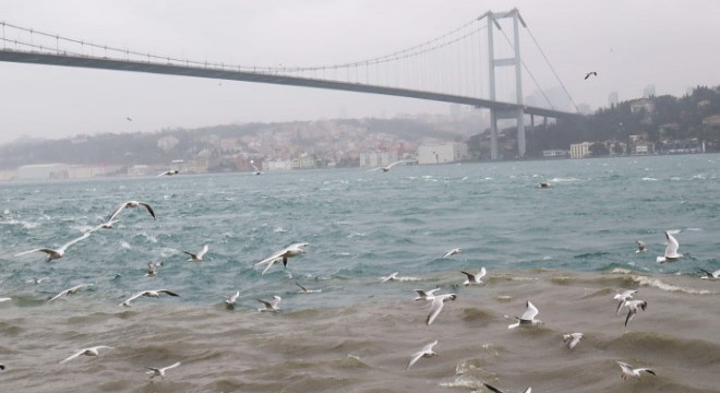 Üsküdar'da denize çamur aktı