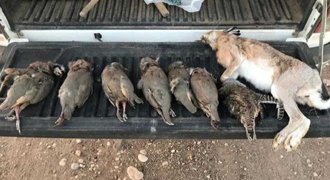 Usulsüz avlanan 54 kişiye 70 bin lira ceza
