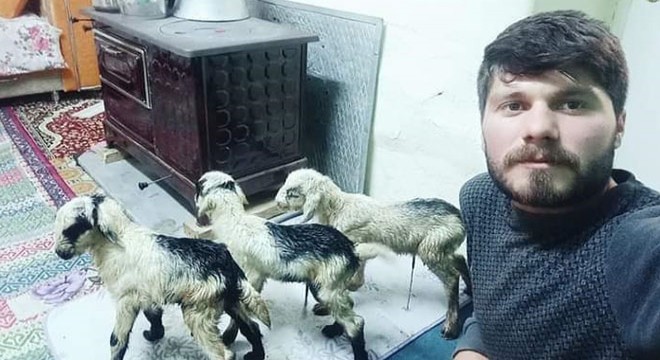 Üşümesin diye oğlakları evinde besliyor