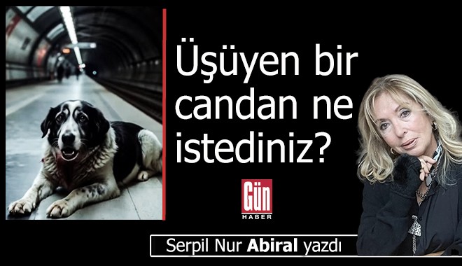 Üşüyen bir candan ne istediniz?