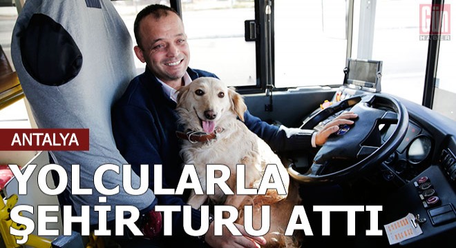 Üşüyüp otobüse binen köpek yolcularla şehir turu attı