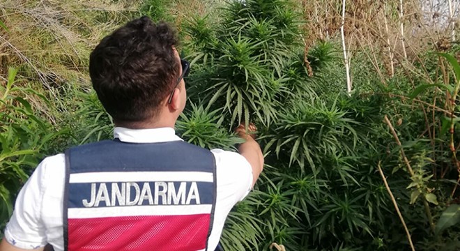Uyuşturucu operasyonlarında 6 kişi tutuklandı