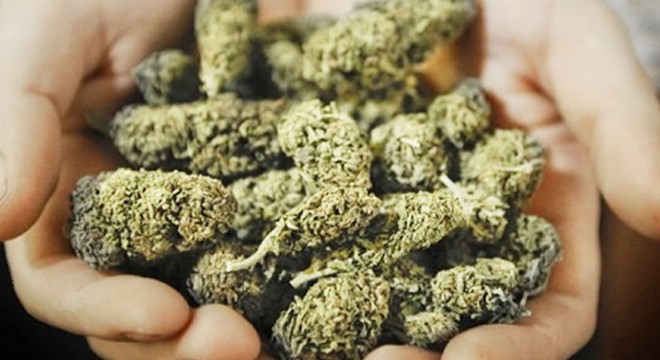 Uyuşturucu operasyonu: 7 kişi tutuklandı