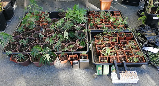 Uyuşturucu serasına çevrilen lüks dairelere baskın