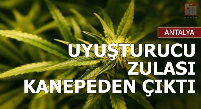 Uyuşturucu zulası kanepeden çıktı