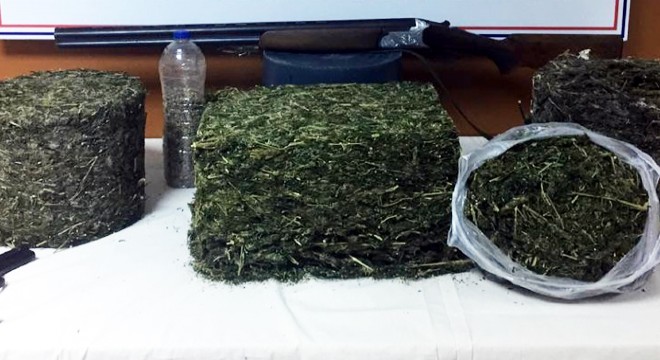 Uyuşturucuyu arı kovanına gizlemiş