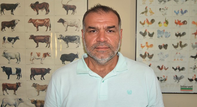 Uzmanlardan vatandaşlara 'yılan' uyarısı