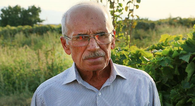 Üzüm üreticilerinin bir yıllık emeği çalındı