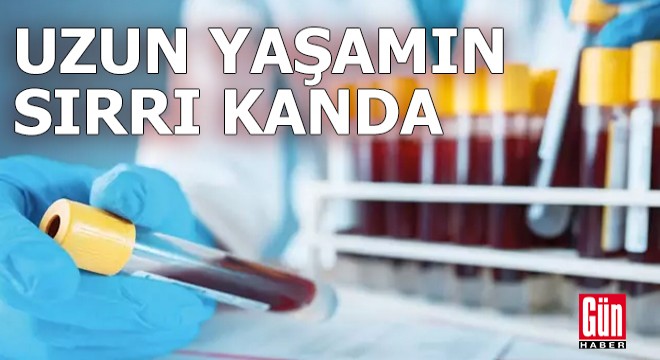 Uzun yaşamın sırrı kanda